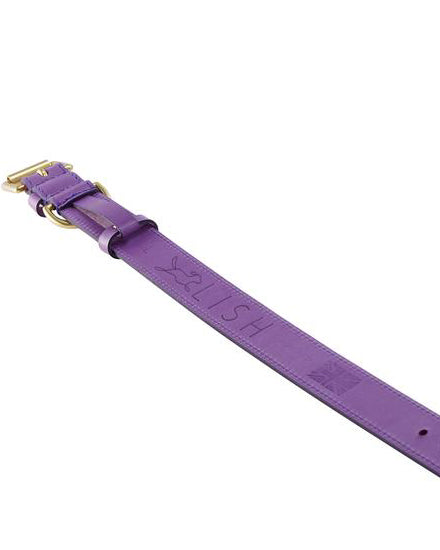 LISH Coopers Leather Collar Violet