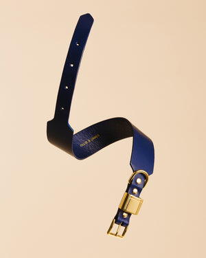 Ollie & James Leather Collar Ink / Navy