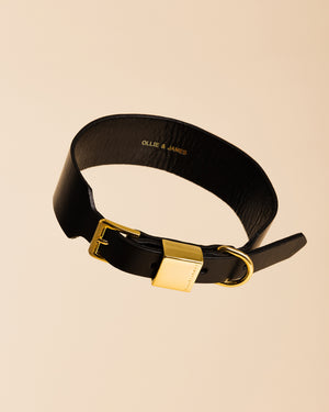 Ollie & James Leather Collar Sable / Black