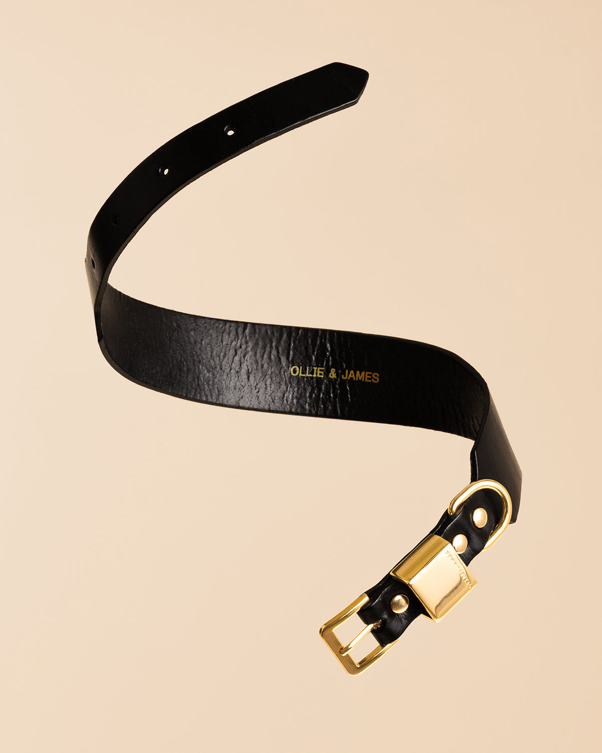 Ollie & James Leather Collar Sable / Black